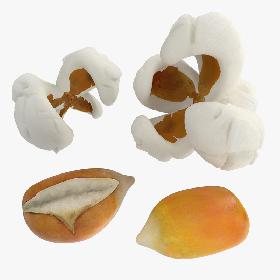 Popcorn Evolution Set